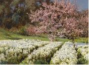 Antonio Mancini Spring blossom oil painting artist